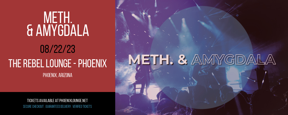 Meth. & Amygdala at Rebel Lounge